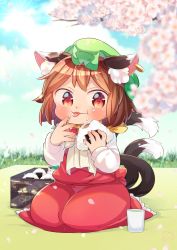 Rule 34 | 1girl, :3, :p, animal ear fluff, animal ears, bento, blanket, blue sky, blurry, blush, bow, branch, brown hair, cat ears, cat tail, chen, cherry blossoms, cloud, commentary request, cup, day, depth of field, earrings, eating, food, food on face, food on hand, frilled skirt, frills, grass, hat, high collar, highres, holding, holding food, ibaraki natou, jewelry, long sleeves, looking at viewer, messy, mob cap, mochen, multiple tails, onigiri, outdoors, petals, picnic, red eyes, red skirt, red vest, rice, rice on face, seiza, shirt, short hair, single earring, sitting, skirt, sky, solo, tail, tongue, tongue out, touhou, vest, white bow, white neckwear, white shirt