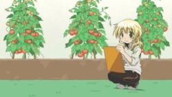 Rule 34 | animated, animated gif, blonde hair, casual, cellphone, hidamari sketch, lowres, miyako (hidamari sketch), open mouth, phone, short hair, solo, wide face, | |