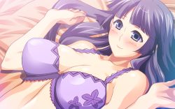 Rule 34 | 1girl, bare arms, bare shoulders, bed, blue eyes, blush, bra, breasts, cleavage, coscos!: anata gonomi no cosplay h shite ageru, eyebrows, game cg, hamashima shigeo, hime cut, large breasts, long hair, looking down, lying, on bed, pillow, purple hair, smile, solo, underwear, upper body