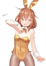 Rule 34 | 1girl, alternate costume, animal ears, black pantyhose, breasts, brown hair, covered navel, detached collar, fake animal ears, fang, gold bow, gold bowtie, highres, ikazuchi (kancolle), kantai collection, leotard, looking at viewer, one-hour drawing challenge, orange eyes, pantyhose, playboy bunny, rabbit ears, short hair, simple background, skin fang, small breasts, solo, standing, tetsukuzu (yajirushi shita), twitter username, white background, wrist cuffs