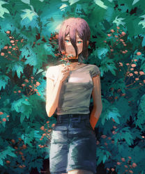 Rule 34 | 1girl, aqua eyes, artist name, black choker, blue hair, blue shorts, chainsaw man, champi, choker, commentary, cowboy shot, flower, hair between eyes, hand up, highres, holding, holding flower, leaf, looking at viewer, plant, reze (chainsaw man), shirt, short hair, short sleeves, shorts, sidelocks, signature, smile, solo, standing, white shirt
