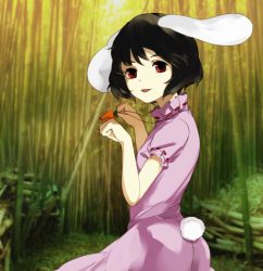 Rule 34 | 1girl, animal ears, bad id, bad pixiv id, bamboo, benetto (benet), black hair, carrot, carrot necklace, female focus, inaba tewi, jewelry, necklace, paw pose, rabbit ears, rabbit girl, rabbit tail, red eyes, short hair, solo, tail, touhou