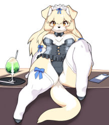 Rule 34 | animal ear fluff, animal ears, blue bow, blush, body fur, bow, breasts, breasts apart, clipboard, commentary, curvy, dog, dog ears, dog girl, dog tail, elbow gloves, furry, furry female, gloves, large breasts, long hair, original, plump, sitting, snout, tail, thighhighs, two-tone fur, white fur, white gloves, white thighhighs, wkar, yellow fur