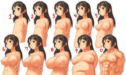 Rule 34 | 1girl, breasts, brown eyes, brown hair, bust chart, chart, comparison, curvy, fat, flat chest, large breasts, long hair, muscular, muscular female, navel, nipples, nude, smile, tagme