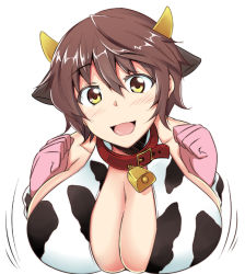 Rule 34 | 10s, 1girl, animal ears, animal print, bell, neck bell, blush, breasts, brown eyes, cleavage, collar, cow ears, cow horns, cow print, cowbell, gigantic breasts, gloves, horns, idolmaster, idolmaster cinderella girls, looking at viewer, oikawa shizuku, open mouth, short hair, smile, solo, tongue, yellow eyes, zanku