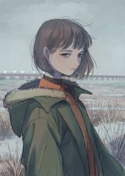 Rule 34 | 1girl, bob cut, brown eyes, brown hair, closed mouth, collared shirt, commentary, expressionless, grass, green jacket, grey sky, highres, hood, hood down, hooded jacket, jacket, katsuoboshi, looking at viewer, open clothes, open jacket, orange shirt, original, outdoors, shirt, short hair, sky, solo, turtleneck, upper body