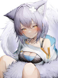 Rule 34 | 1girl, absurdres, animal ears, arknights, between legs, blush, breasts, cleavage, cleavage cutout, closed mouth, clothing cutout, collarbone, highres, medium breasts, provence (arknights), purple hair, short hair, simple background, sitting, solo, tab head, tail, tail between legs, white background, yellow eyes