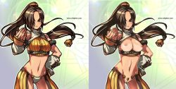 Rule 34 | 00s, breasts, compare, dungeon and fighter, fighter (dungeon and fighter), highres, large breasts, long hair, nude filter, pubic hair, pussy, tagme, third-party edit, uncensored, zaiu8
