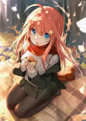 Rule 34 | 1girl, ahoge, aran sweater, autumn leaves, bison cangshu, black jacket, black pantyhose, black skirt, blue eyes, brown hair, cable knit, food, ginkgo leaf, go-toubun no hanayome, grey sweater, hair between eyes, hair ornament, highres, holding, holding food, jacket, leaf, long hair, long sleeves, looking at viewer, miniskirt, nakano itsuki, no shoes, off shoulder, open clothes, open jacket, open mouth, pantyhose, pleated skirt, red scarf, roasted sweet potato, scarf, seiza, sitting, skirt, solo, star (symbol), star hair ornament, sweater, sweet potato, winter clothes