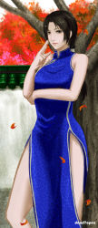Rule 34 | 1girl, autumn leaves, between fingers, black hair, blue dress, breasts, china dress, chinese clothes, dead7open, dress, hair over shoulder, highres, holding, hong xiu ying, leaf, long hair, low ponytail, low twintails, shenmue, shenmue ii, side slit, solo, twintails