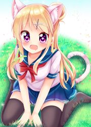 Rule 34 | 1girl, animal ears, between legs, black thighhighs, blonde hair, blue sailor collar, blue skirt, blush, breasts, cat ears, cat tail, cat teaser, collarbone, commentary request, full body, gradient background, grass, hair bun, hair ornament, hairclip, hand between legs, highres, kemonomimi mode, kin-iro mosaic, kujou karen, long hair, medium breasts, minato ojitan, no shoes, open mouth, petals, pleated skirt, pov, purple eyes, sailor collar, short sleeves, sidelocks, single hair bun, sitting, skirt, small breasts, solo, sparkling eyes, tail, thighhighs, two-tone background, wariza, x hair ornament
