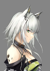 Rule 34 | 1girl, 8gou, animal ear fluff, animal ears, arknights, bare shoulders, breasts, cat ears, cleavage, collar, dress, from behind, green dress, green eyes, grey background, kal&#039;tsit (arknights), large breasts, looking at viewer, looking to the side, material growth, oripathy lesion (arknights), short hair, sideways glance, silver hair, simple background, solo, upper body