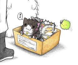 Rule 34 | 10s, :3, admiral (kancolle), animal, animal ears, animalization, box, cat, cat ears, cat tail, cherry blossoms, colored pencil (medium), commentary request, dainamitee, closed eyes, female admiral (kancolle), for adoption, glasses, hat, in box, in container, kantai collection, kitten, lion, military, military uniform, musashi (kancolle), musashi kai (kancolle), musical note, no humans, non-human admiral (kancolle), nose bubble, o o, quaver, shinano (kancolle), shoes, simple background, spoken musical note, tail, traditional media, translation request, uniform, white background, yamato (kancolle)