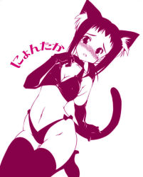 Rule 34 | 00s, 1girl, animal ears, bikini, blush, breasts, cat ears, cat girl, cat tail, cleavage, elbow gloves, female focus, gloves, k.m.station, kaga ai, monochrome, sayonara zetsubou sensei, simple background, solo, swimsuit, tail, tears, thighhighs, white background