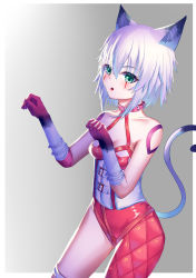 Rule 34 | 1girl, absurdres, animal ear fluff, animal ears, animal print, asymmetrical clothes, bare shoulders, breasts, cat ears, cat print, cat tail, collar, corset, elbow gloves, facial scar, fate/apocrypha, fate/grand order, fate (series), gloves, green eyes, hair between eyes, highres, jack the ripper (fate/apocrypha), looking at viewer, open mouth, paw pose, pink gloves, pink legwear, rumuxuyin, scar, scar across eye, scar on cheek, scar on face, short hair, shoulder tattoo, single pantsleg, small breasts, tail, tattoo, white gloves, white hair