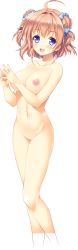 Rule 34 | 1girl, absurdres, ahoge, blue eyes, blush, breasts, brown hair, censored, collarbone, cropped legs, double bun, fingers together, highres, large breasts, looking at viewer, lost echoes, mosaic censoring, navel, nipples, non-web source, nude, open mouth, pussy, short hair, smile, solo, tamiya akito, transparent background, yuuki akiho