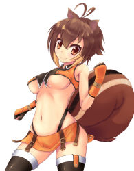 Rule 34 | 1girl, ahoge, animal ears, arc system works, bad id, bad pixiv id, banana (hirane1988), black thighhighs, blazblue, blazblue: continuum shift, breasts, brown eyes, brown hair, clenched hand, clenched hands, dress, gloves, large breasts, makoto nanaya, midriff, miniskirt, navel, orange dress, orange skirt, revealing clothes, short hair, simple background, skirt, smile, solo, squirrel ears, squirrel tail, tail, thighhighs, underboob, white background