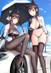 Rule 34 | 2girls, animal ears, ankle strap, artist name, atago (azur lane), atago (stunning speedster) (azur lane), azur lane, bare shoulders, bikini, bikini tug, bird, black bikini, black bow, black hair, blue sky, blush, bodystocking, bow, breasts, brown eyes, car, checkered flag, cleavage, cleavage cutout, closed mouth, clothing cutout, cloud, cloudy sky, collarbone, commentary request, day, extra ears, feet out of frame, fine fabric emphasis, flag, footwear bow, gluteal fold, hair flaps, high heels, highleg, highleg bikini, highres, impossible clothes, kep (ahokep), large breasts, leotard, logo, long hair, long sleeves, looking at viewer, midriff, mole, mole under eye, motor vehicle, multicolored leotard, multiple girls, navel, official alternate costume, on vehicle, outdoors, pantyhose, ponytail, race queen, ribbon, saleen, saleen s7, seagull, shrug (clothing), sidelocks, sitting, skindentation, sky, sleeve cuffs, smile, standing, stomach, strap gap, strappy heels, swept bangs, swimsuit, takao (azur lane), takao (full throttle charmer) (azur lane), thighhighs, two-tone bikini, two-tone leotard, unitard, very long hair, white bow, white footwear, white ribbon, wolf ears, wrist cuffs