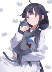 Rule 34 | 1girl, ahoge, animal, animal background, animal print, apron, blue sailor collar, carrying, cat, fish print, grey cat, hair flaps, highres, jewelry, kantai collection, kappougi, long hair, low twintails, magatama, natsuki (gedo), neckerchief, necklace, purple hair, red eyes, red neckerchief, sailor collar, solo, taigei (kancolle), twintails, whale, whale print, white apron, white background