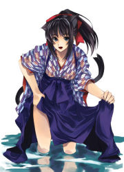 Rule 34 | 1girl, animal ears, bashamichi, cat ears, cat tail, japanese clothes, solo, tail, tasuki, water, yagasuri