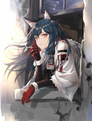 Rule 34 | 1girl, animal ear fluff, animal ears, arknights, black hair, brown eyes, cigarette, commentary request, gloves, hair between eyes, hand up, holding, holding cigarette, id card, jacket, long hair, long sleeves, looking at viewer, nabeshima tetsuhiro, official alternate costume, parted lips, red gloves, smoke, smoking, solo, texas (arknights), texas (winter messenger) (arknights), upper body, white jacket, wide sleeves, window, wolf ears