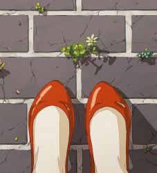 Rule 34 | 1girl, avogado6, commentary request, feet, feet only, female pov, flower, foot focus, from above, no humans, original, pov, red footwear, shoes, solo, white flower