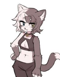 Rule 34 | 1girl, :3, bell, black bra, black pants, blue eyes, bra, breasts, cleavage, cleavage cutout, clothing cutout, collar, crayon (crayon1006), female focus, furry, furry female, grey hair, hand on own hip, heterochromia, highres, looking at viewer, medium breasts, midriff, multicolored hair, navel, neck bell, pants, smile, solo, standing, two-tone hair, underwear, white background, white hair, yellow eyes