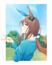 Rule 34 | 1girl, absurdres, admire vega (umamusume), blue sweater, brown hair, framed, from behind, highres, horse girl, jewelry, long hair, looking back, low ponytail, necklace, pearl necklace, purple eyes, smile, suzumi chris, sweater, umamusume, v