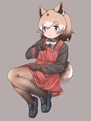 Rule 34 | 1girl, animal ears, black footwear, black shirt, blush, bow, bowtie, brown gloves, brown hair, brown pantyhose, collared shirt, dog ears, dog girl, dog tail, dress, extra ears, full body, gloves, gradient legwear, highres, kemono friends, light brown hair, loafers, long sleeves, looking at viewer, multicolored hair, new guinea highland wild dog (kemono friends), pantyhose, red dress, shirt, shoes, short hair, smile, solo, t-shirt, tail, two-tone pantyhose, uf34a, white bow, white bowtie, white hair, yellow eyes