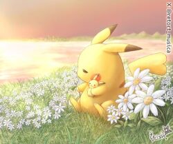 Rule 34 | character doll, commentary request, creatures (company), flower, game freak, gen 1 pokemon, grass, half-closed eyes, holding, lowres, nintendo, no humans, outdoors, pikachu, pokemon, pokemon (creature), sirius., sitting, sky, solo, watermark, white flower