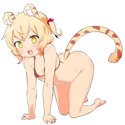 Rule 34 | 1girl, :o, all fours, animal ear fluff, animal ears, arched back, ass, bad id, bad twitter id, barefoot, bikini, bikini top only, blonde hair, borrowed character, bottomless, bright pupils, cat ears, cat tail, crossed bangs, done (donezumi), full body, head tilt, inactive account, looking at viewer, one side up, open mouth, original, parted bangs, red bikini, short hair, simple background, slit pupils, solo, string bikini, sweat, swimsuit, tail, thick eyebrows, tiger ears, tiger tail, toramimi-senpai, white background, yellow eyes