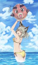 Rule 34 | 10s, 1girl, animal ears, ass, ball, beachball, bikini, breasts, butt crack, character print, cloud, day, dimples of venus, erune, gluteal fold, granblue fantasy, highres, ivris, partially submerged, red eyes, sen (granblue fantasy), silver hair, sky, solo, swimsuit, vyrn (granblue fantasy), wading, water, yellow bikini