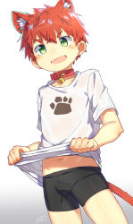 Rule 34 | 1boy, absurdres, animal ears, bell, blush, borrowed character, cat ears, cat tail, clothes lift, collar, extra ears, fang, green eyes, highres, looking at viewer, male focus, midriff, navel, neck bell, open mouth, original, shirt lift, shishi chan, short shorts, shorts, signature, simple background, skin fang, smile, solo, tail, white background, zutaboro
