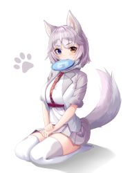 Rule 34 | 1girl, absurdres, animal ear fluff, animal ears, blue eyes, blush, breasts, chun bae, dog (mixed breed) (kemono friends), dog ears, dog girl, dog tail, frisbee, grey hair, harness, heterochromia, highres, japari symbol, kemono friends, large breasts, looking at viewer, multicolored hair, short hair, simple background, sitting, solo, tail, thighhighs, two-tone hair, white background, white hair, white thighhighs, yellow eyes