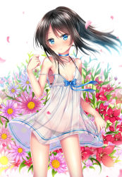 Rule 34 | 1girl, alternate hairstyle, asashio (kancolle), bare shoulders, bikini, bikini under clothes, black bikini, black hair, blue bow, blue choker, blue eyes, blurry, blush, bow, choker, collarbone, cowboy shot, depth of field, dress, flat chest, floral background, flower, flower request, groin, hand up, kantai collection, long hair, looking at viewer, petals, ponytail, puririn, see-through, skirt hold, solo, strap slip, strapless, strapless dress, swimsuit, swimsuit under clothes, white background