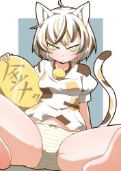 Rule 34 | 1girl, :&lt;, ahoge, animal ears, barefoot, bell, blonde hair, blouse, bow, bow panties, brown hair, calico, cat ears, cat girl, cat tail, closed mouth, coin, crotch seam, frown, gold, goutokuji mike, koban (gold), looking at viewer, m legs, multicolored hair, neck bell, no pants, panties, print shirt, puffy short sleeves, puffy sleeves, shirt, short hair, short sleeves, sitting, slit pupils, solo, spread legs, streaked hair, striped clothes, striped panties, tail, touhou, translated, underwear, v-shaped eyes, white hair, white shirt, yellow eyes, yellow panties, zannen na hito