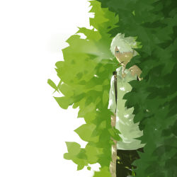 Rule 34 | 1boy, bush, cigarette, ginko, green eyes, hair over one eye, highres, looking at viewer, luo., male focus, mushishi, plant, short hair, solo, white hair