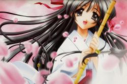 Rule 34 | black hair, hair ribbon, japanese clothes, long hair, miko, ribbon, sakura petals, grey eyes
