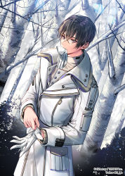 Rule 34 | 1boy, adjusting clothes, adjusting gloves, bare tree, black hair, copyright name, cowboy shot, day, gloves, hair between eyes, looking at viewer, male focus, mouth hold, official art, outdoors, pocket, purple eyes, sid story, sila (carpen), solo, standing, tree, watermark, white gloves