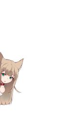 Rule 34 | 1girl, 40hara, :o, absurdres, animal ears, bare shoulders, blush, cat ears, collar, collarbone, green eyes, highres, kinako (40hara), light brown hair, long hair, looking at viewer, off shoulder, original, parted lips, peeking out, red collar, simple background, solo, white background