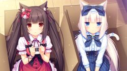 Rule 34 | 10s, 2girls, :&lt;, animal ears, ascot, black hair, blue eyes, blunt bangs, blush, bow, bowtie, box, breasts, brooch, brown eyes, buttons, cat ears, cat tail, chocola (nekopara), clenched hands, corset, cross-laced clothes, dress, frilled dress, frills, game cg, hair bow, hair ribbon, in box, in container, indoors, jewelry, light particles, logo, lolita fashion, long hair, looking at viewer, low twintails, multiple girls, nekopara, pink hair, pinstripe pattern, polka dot, ribbon, ribbon trim, sayori (neko works), sidelocks, sitting, slit pupils, small breasts, striped, tail, tail ornament, tail ribbon, tile floor, tiles, twintails, v arms, vanilla (nekopara), very long hair, white hair, wrist cuffs