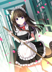 Rule 34 | 1girl, animal ears, apron, black dress, black hair, blush, bow, bowtie, broom, cat ears, cat tail, center frills, coconat summer, commentary request, curtains, dress, frilled apron, frilled dress, frilled shirt collar, frills, highres, long hair, looking at viewer, maid, maid headdress, original, petals, purple eyes, red bow, red bowtie, short sleeves, smile, solo, tail, waist apron, white apron, window, wooden floor, wrist cuffs