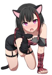 1girl animal_ears arm_warmers bang_dream! black_hair black_shorts blush breasts cat_ears cat_tail collarbone commentary crop_top fake_animal_ears fang grey_shirt highres looking_at_viewer medium_breasts mitake_ran multicolored_hair noshimurin open_mouth paid_reward_available paw_pose purple_eyes red_hair shirt short_hair short_sleeves shorts simple_background solo streaked_hair tail white_background