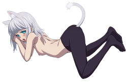 Rule 34 | 10s, 1girl, animal ears, ass, blue eyes, blush, cat ears, cat tail, highres, kanase kanon, kekke, looking at viewer, no panties, open mouth, pantyhose, short hair, silver hair, solo, strike the blood, tail
