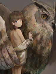 Rule 34 | 1girl, absurdres, animal, back, bare shoulders, bird, blunt bangs, brown background, brown hair, closed mouth, commentary request, feet out of frame, from behind, grey eyes, hair ornament, hairclip, highres, looking at viewer, looking back, medium hair, off shoulder, original, oversized animal, owl, partially undressed, radio1985head, shirt, solo, standing, straight hair, white shirt