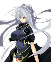 Rule 34 | 2girls, breasts, female focus, long hair, lyrical nanoha, mahou shoujo lyrical nanoha, mahou shoujo lyrical nanoha a&#039;s, multiple girls, reinforce, silver hair, simple background, solo, standing, waist cape, white background