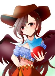 Rule 34 | 1girl, apple, arm up, bare shoulders, blue dress, blue scarf, breasts, brown hair, brown hat, closed mouth, cowboy hat, dress, eyes visible through hair, food, fruit, gradient background, gradient clothes, green background, hair between eyes, hand on own hip, hand up, hat, highres, kurokoma saki, long hair, looking at viewer, medium breasts, multicolored clothes, multicolored dress, muumuu (sirufuruteienn), off shoulder, one-hour drawing challenge, orange dress, pink dress, plaid, plaid dress, ponytail, puffy short sleeves, puffy sleeves, red eyes, scarf, short sleeves, smile, solo, touhou, white background, white scarf, wings, yellow dress