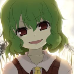 Rule 34 | 1girl, female focus, gradient background, green hair, kazami yuuka, open mouth, portrait, red eyes, shize (coletti), short hair, smile, solo, touhou, white background