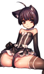 Rule 34 | 1girl, :o, ahoge, animal ears, arm support, bare shoulders, between legs, black hair, brown eyes, choker, convenient censoring, ecell, elin, lowres, no panties, short hair, simple background, solo, spread legs, tail, tail between legs, tera online, thighhighs, white background, zettai ryouiki