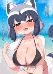 Rule 34 | 1girl, animal ears, beach, bikini, black bikini, black hair, blush, breasts, brown eyes, cleavage, common raccoon (kemono friends), day, front-tie bikini top, front-tie top, grey hair, highres, kemono friends, large breasts, looking at viewer, multicolored hair, navel, ocean, open mouth, outdoors, raccoon ears, raccoon tail, ransusan, sand, short hair, smile, solo, swimsuit, tail, towel, translated, white hair